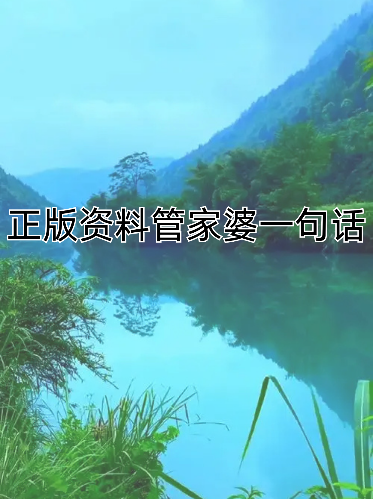 管家婆正版全年免费资料的优势