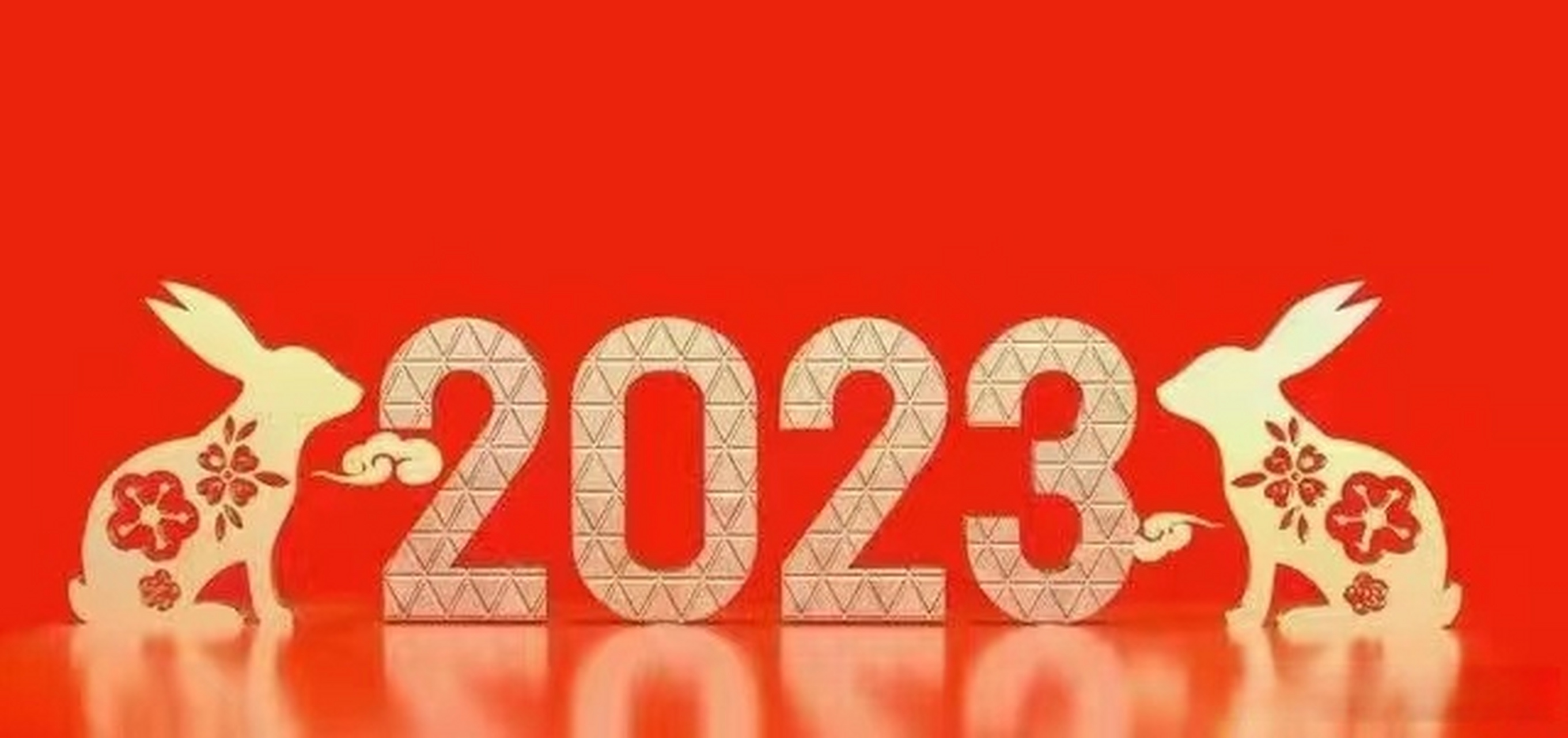科普展现:2023年什么命（16年什么命）