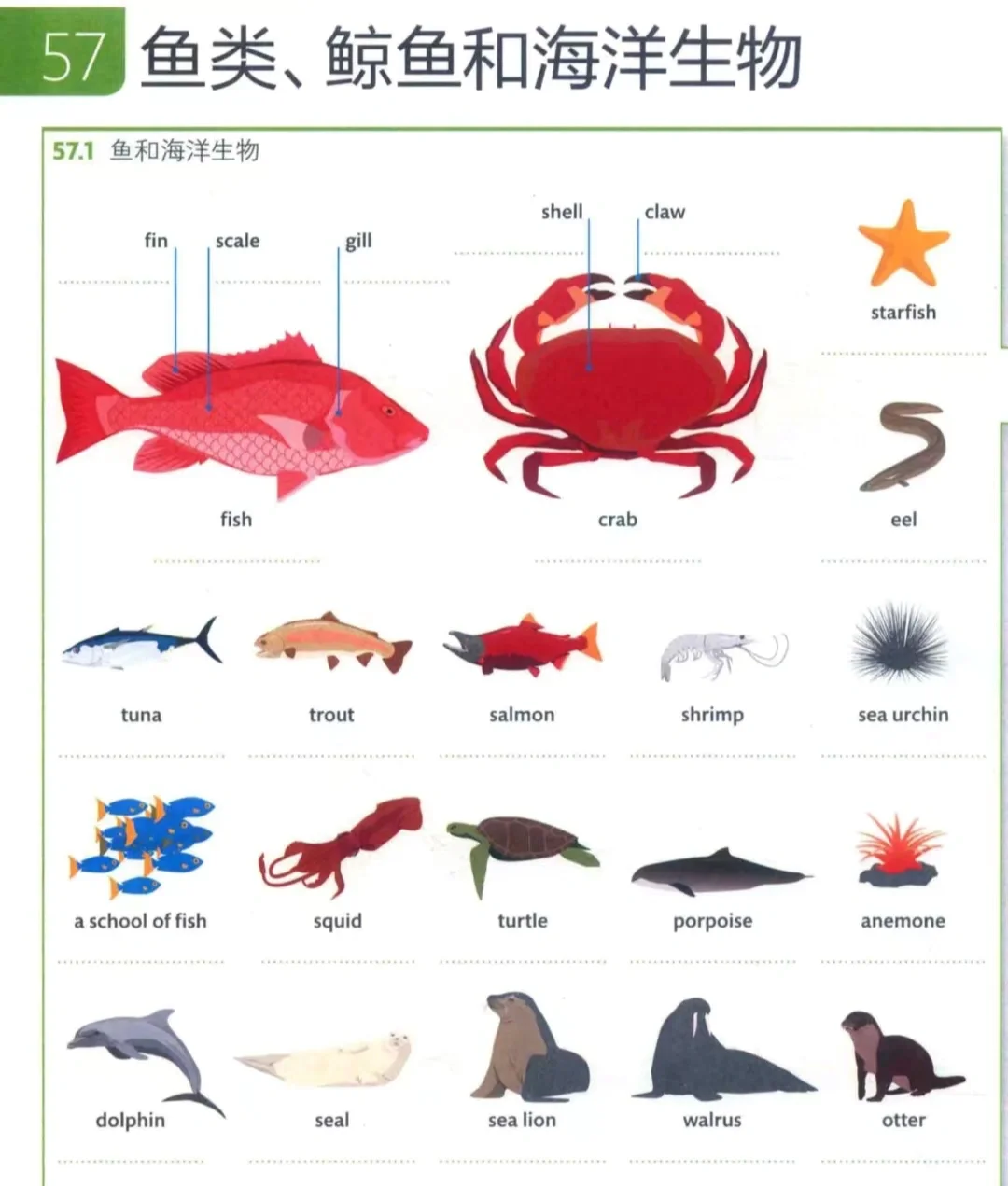 海洋生物名称