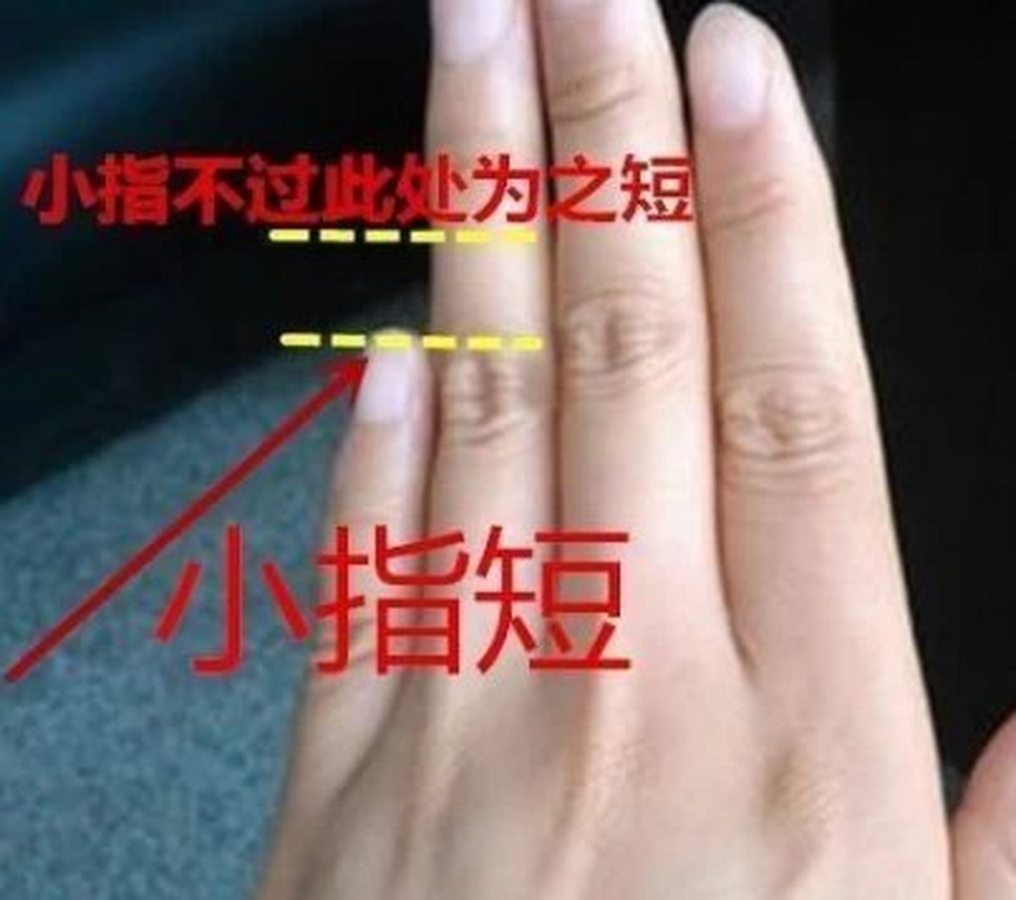 无名指长食指