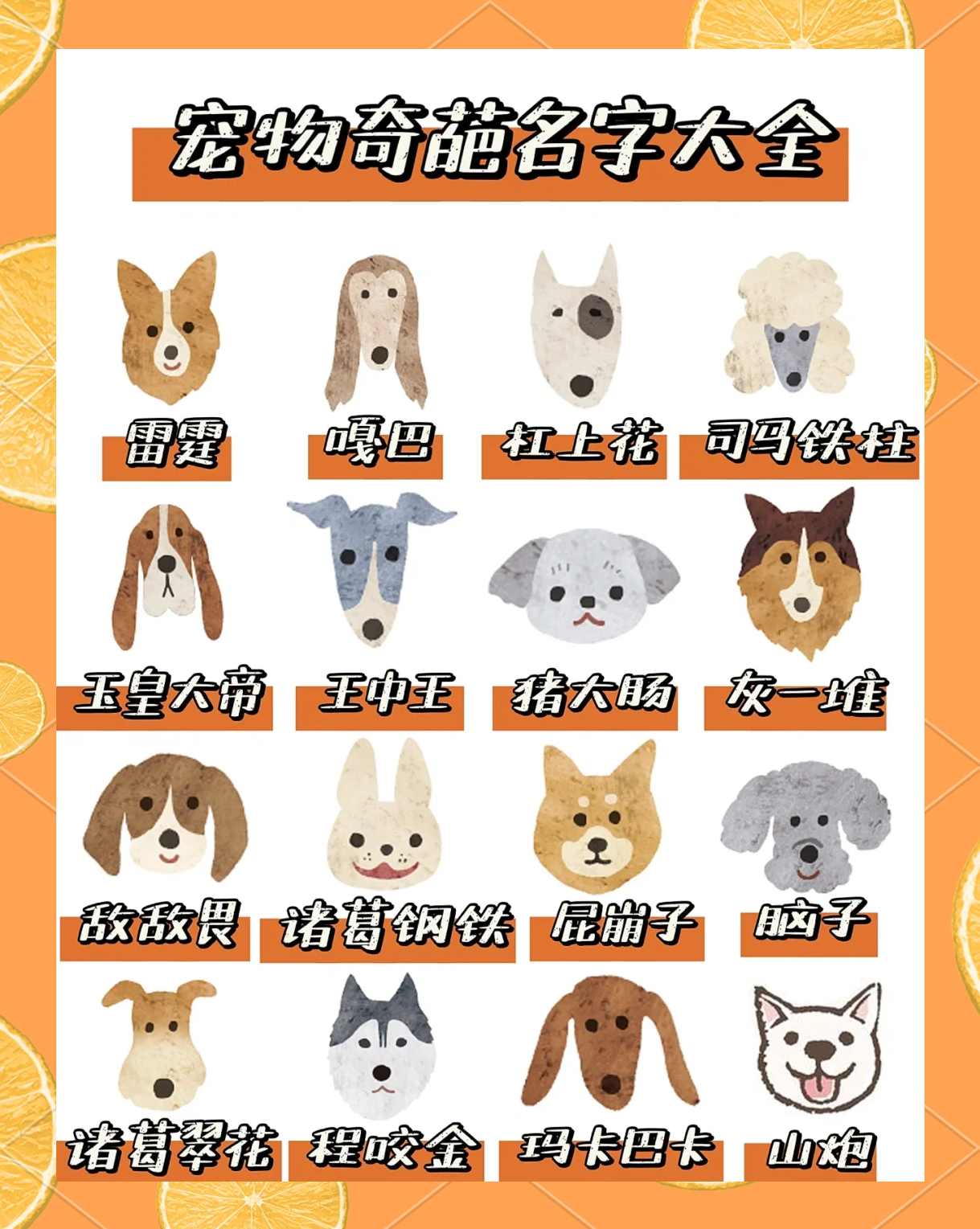 宠物名字可爱