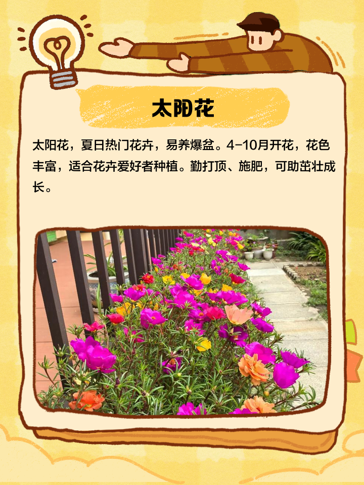 阳台风水植物禁忌