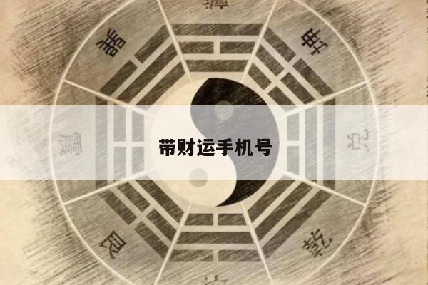 带财运手机号