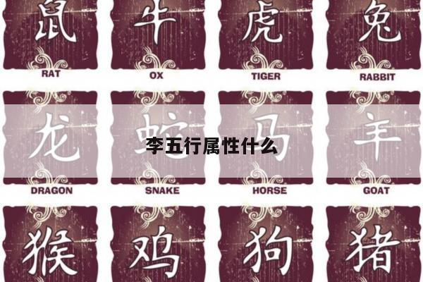 李五行属性什么