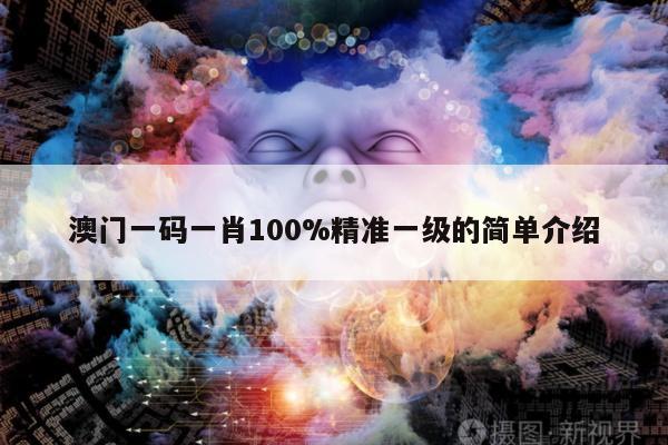 澳门一码一肖100%精准一级的简单介绍