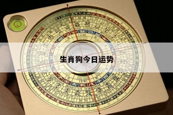 生肖狗今日运势