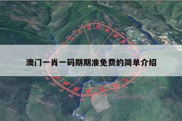 澳门一肖一码期期准免费的简单介绍