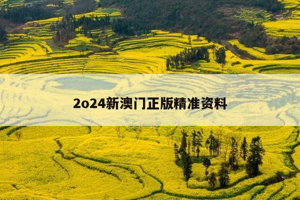 2o24新澳门正版精准资料