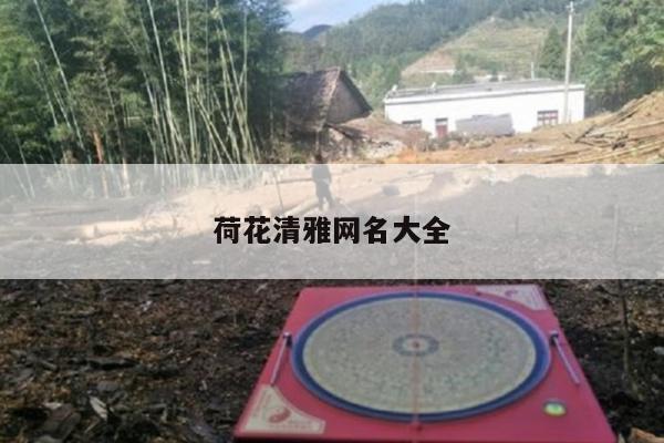荷花清雅网名大全