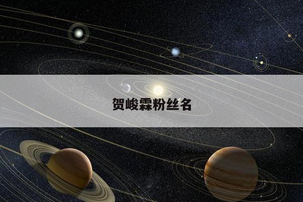 贺峻霖粉丝名