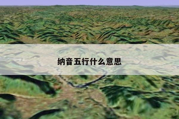纳音五行什么意思