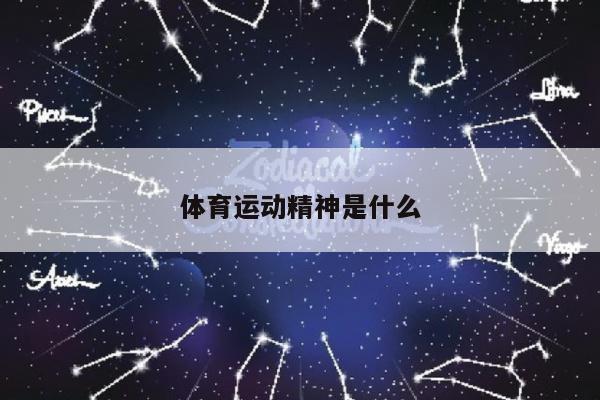 体育运动精神是什么