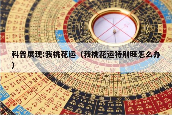 2025年5月 第10页