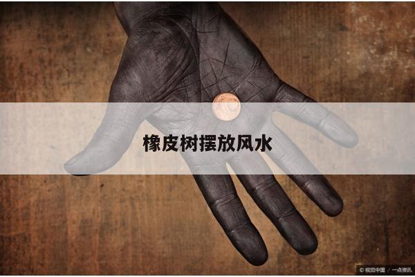 橡皮树摆放风水