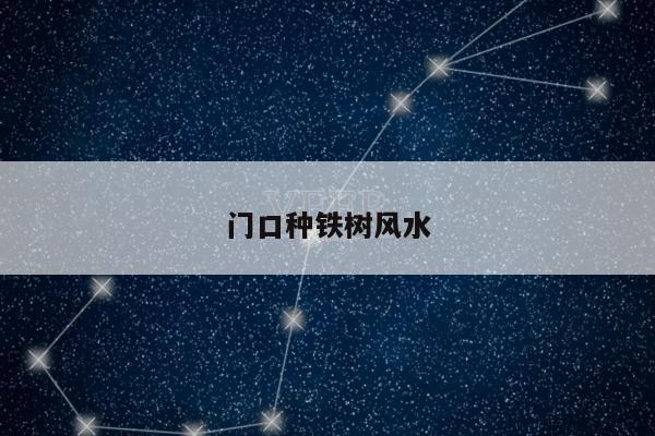 门口种铁树风水