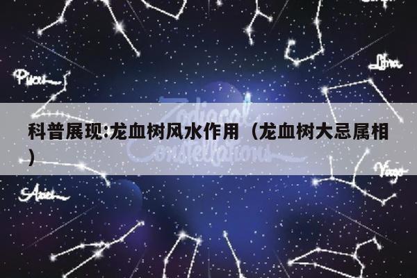 科普展现:龙血树风水作用（龙血树大忌属相）