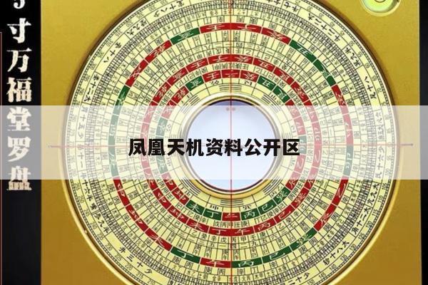 凤凰天机资料公开区