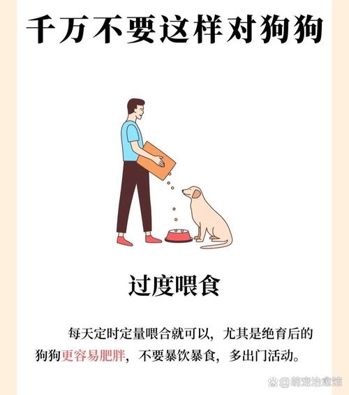 不会轻易的狗带什么意思,不会这样轻易的狗带