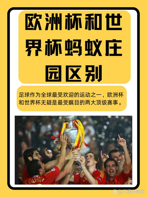足球有哪些赛事,足球有哪些赛事?