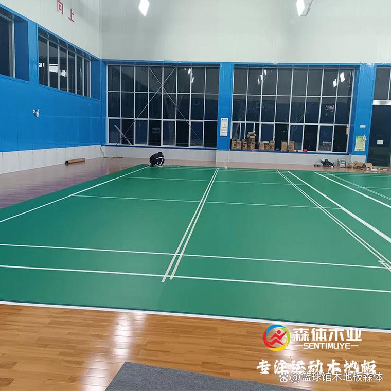 体育羽毛球场,体育羽毛球场地出租