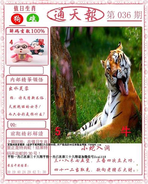 大陆通天报,大陆通天报一图库大全