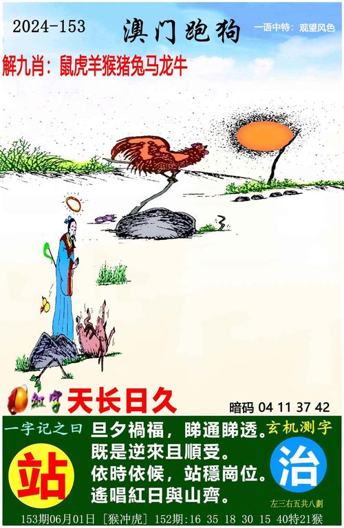 真正四肖12码必中,四肖四码 必