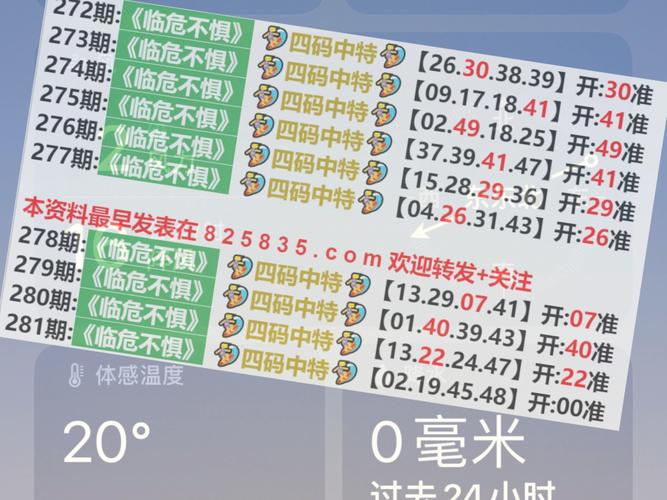 新澳门2024年正版码表,新澳门2024年正版码表准确资料,解释