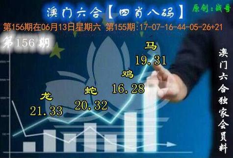 澳门单双各三肖期期中特,澳门单双攻略