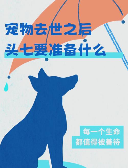 来到这个世上,狗狗死后多久可以投胎重新来到这个世上